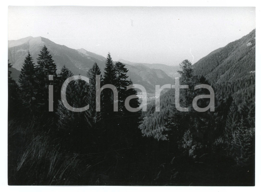 Fotografia d epoca originale 1982 VAL MELEDRIO Lato settentrionale della Val di Sole  Foto 17x13 cm 1