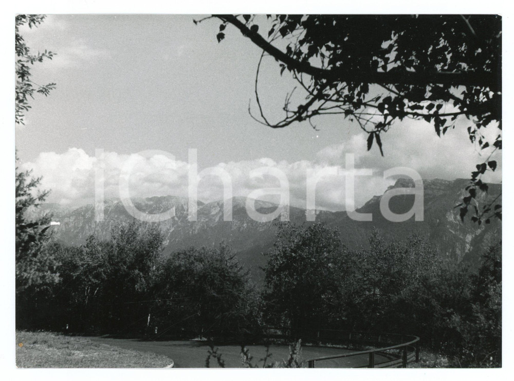 Fotografia d epoca originale 1982 TRENTINO ALTO ADIGE Panorama tra Levico e Vetriolo  Foto 17x13 cm 2 1