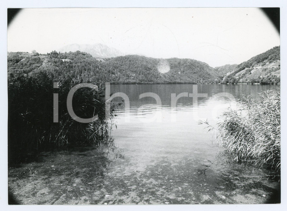 Fotografia d epoca originale 1982 LEVICO TERME Veduta del lago  Foto 17x13 cm 1