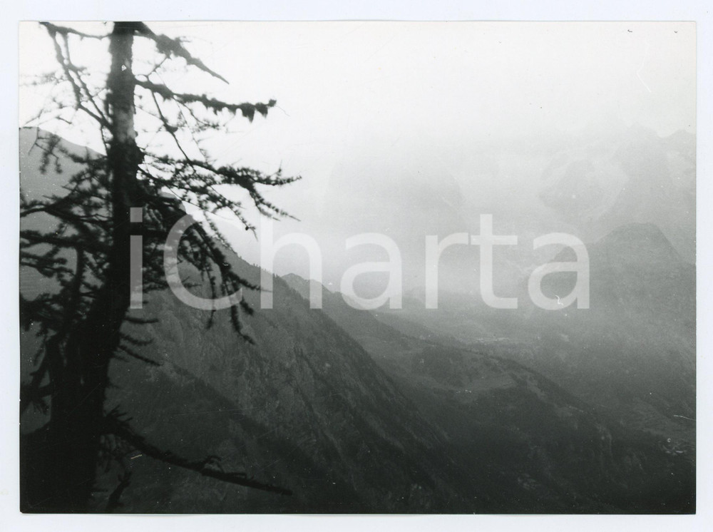 Fotografia d epoca originale 1976 MORGEX Belvedere d Arpy  Conca di COURMAYEUR e Monte Bianco  Foto 17x13 1