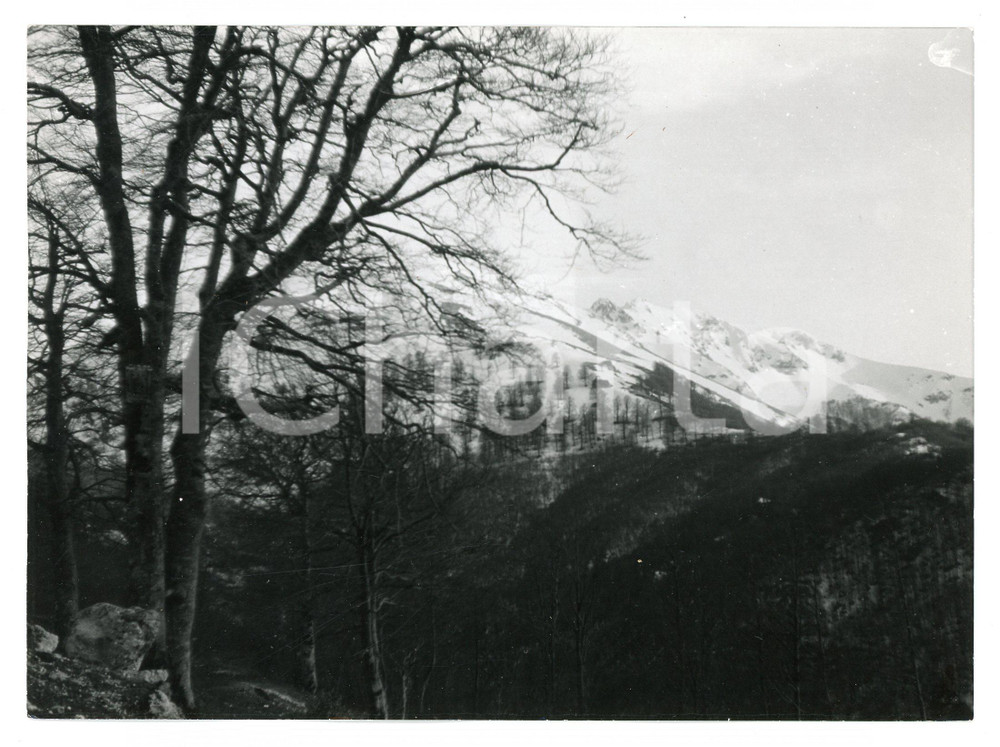 1977 FILETTINO Stazione sciistica CAMPO STAFFI Panorama con MONTE CONTENTO Foto Fotografia d'epoca con didascalia al verso.  FAIR/discreto Lievi smussature agli angoli Formato: 17x13 cm originale e autentica 1