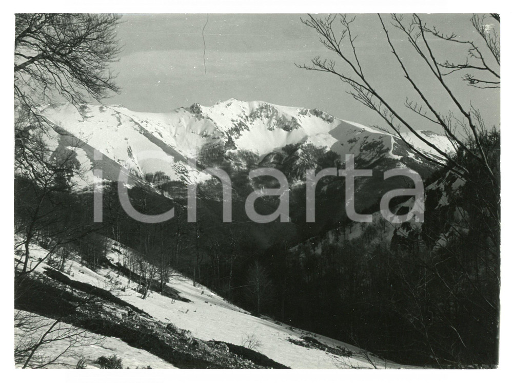 Fotografia d epoca originale 1977 FILETTINO LocalitÃ  CAMPO STAFFI Monti Cantari MONTE VIGLIO Foto 17x13 cm 1