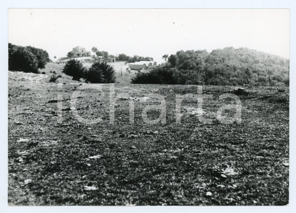 1978 GUARCINO LocalitÃ  CAMPOCATINO Sulle pendici del monte - Foto 17x13 cm Fotografia d'epoca con didascalia al verso.  POOR/danneggiato Lievi smussature agli angoli, difetti di stampa Formato: 17x13 cm originale e autentica 1