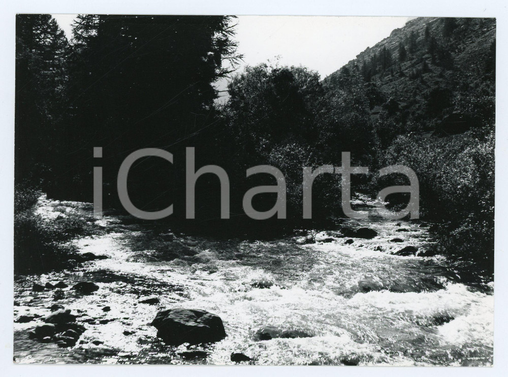 Fotografia d epoca originale 1978 VAL GRANDE DI LANZO Torrente Stura di Valgrande  Foto 17x13 cm 1
