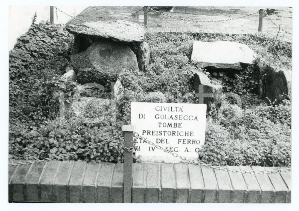 Fotografia d epoca originale 1980 GOLASECCA VA Tombe dell etÃ  del ferro  Foto 17x13 cm 1 1