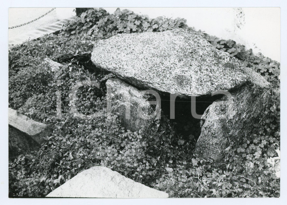 Fotografia d epoca originale 1980 GOLASECCA VA Tombe dell etÃ  del ferro  Foto 17x13 cm 1
