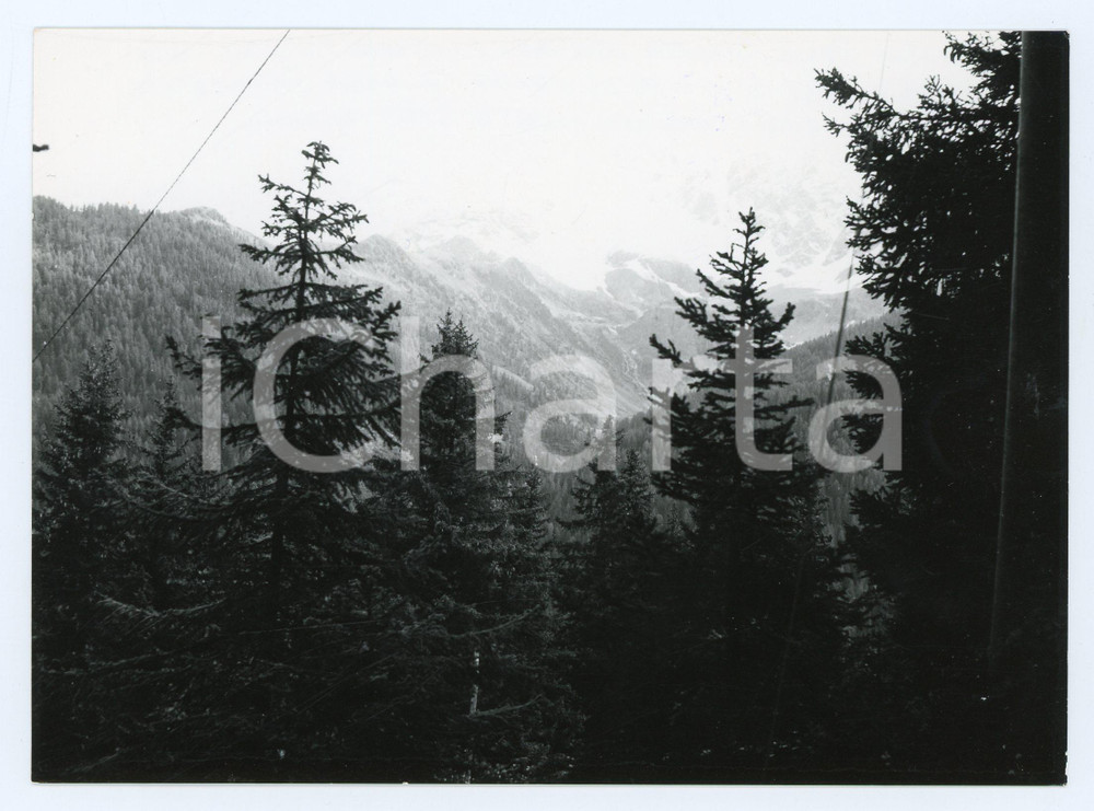 1977 LIVIGNO (SO) Panorama con montagne - Foto 17x13 cm Fotografia d'epoca con didascalia al verso.  FAIR/discreto Lievi smussature agli angoli Formato: 17x13 cm originale e autentica 1