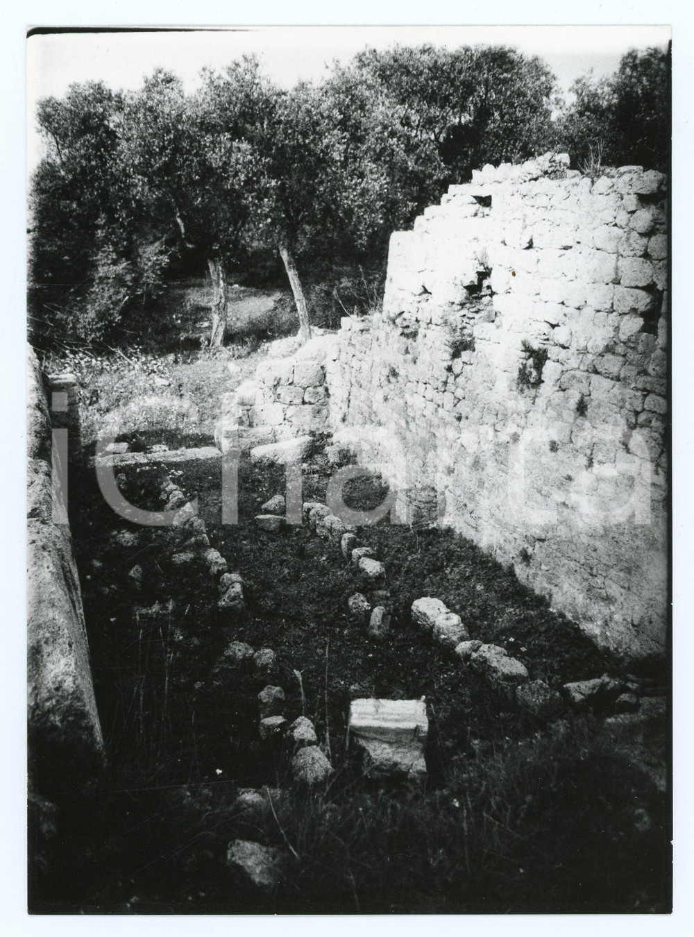 1979 GROSSETO Colonia romana di COSA Resti del tempio - Foto 13x17 cm Fotografia d'epoca con didascalia al verso.  FAIR/discreto Lievi smussature agli angoli Formato: 13x17 cm originale e autentica 1