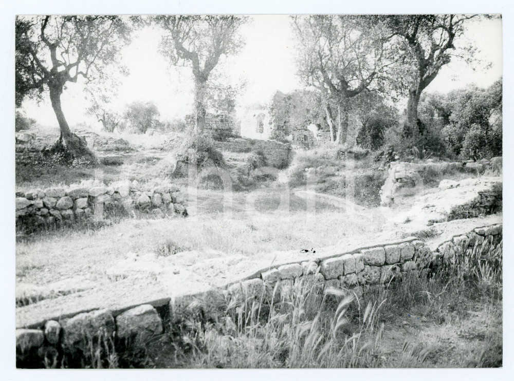 1979 GROSSETO Colonia romana di COSA Ruderi della cittÃ  - Foto 17x13 cm Fotografia d'epoca con didascalia al verso.  FAIR/discreto Lievi smussature agli angoli Formato: 17x13 cm originale e autentica 1