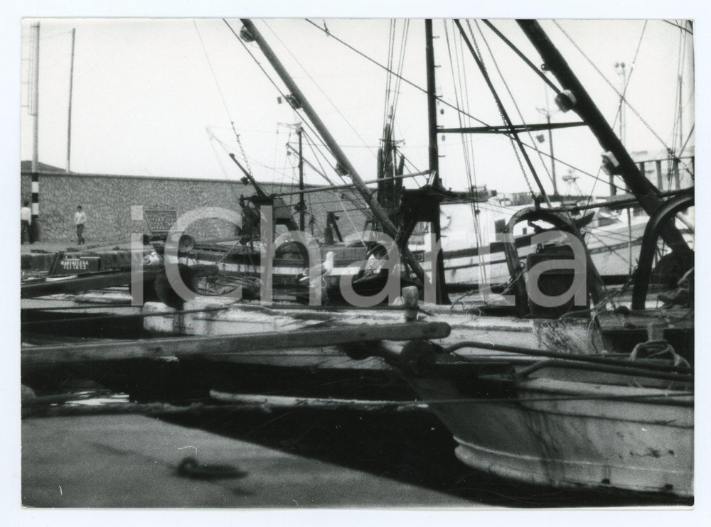 Fotografia d epoca originale 1978 PORTO SANTO STEFANO Veduta con pescherecci  Foto 17x13 cm 1 1