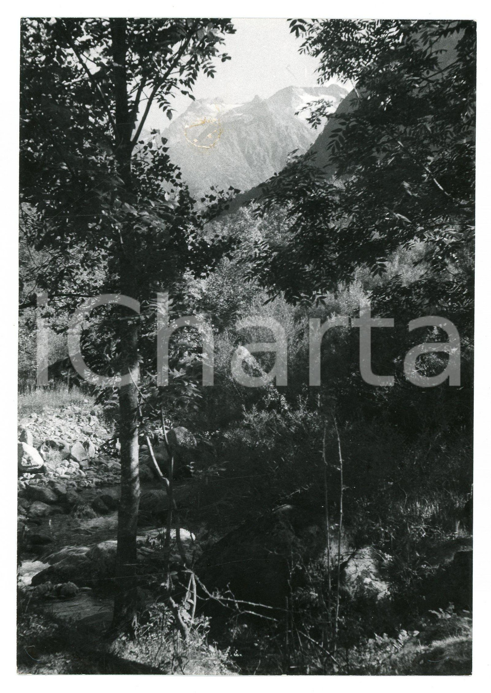 Fotografia d epoca originale 1981 VALLE SAN GIACOMO Torrente Gesso della Barra  Foto 13x17 cm 1 1