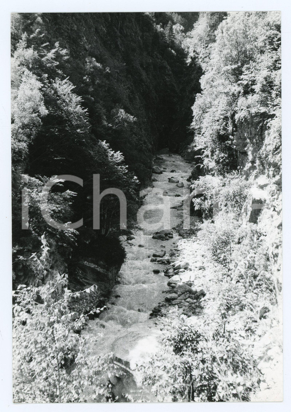 1980 VALLE ANZASCA (NO) Torrente Anza - Foto 13x17 cm