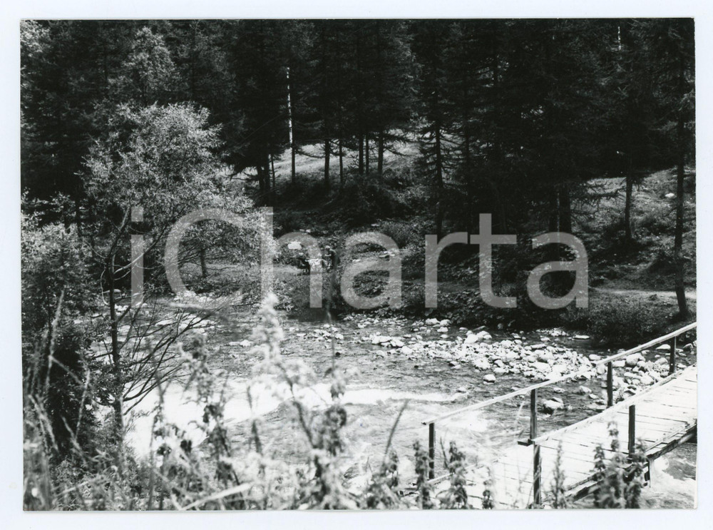 1978 VAL D'ALA Picnic sulle sponde del torrente STURA DI ALA Foto 17x13 cm Fotografia d'epoca con didascalia al verso.  VERY POOR/gravemente danneggiato Lievi smussature agli angoli Formato: 13x17 cm originale e autentica 1