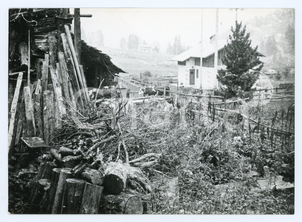 1976 VAL D'AOSTA Panorama con mucche e legnaia - Foto 17x13 cm Fotografia d'epoca con didascalia al verso.  FAIR/discreto Lievi smussature agli angoli, difetti di stampa Formato: 17x13 cm originale e autentica 1