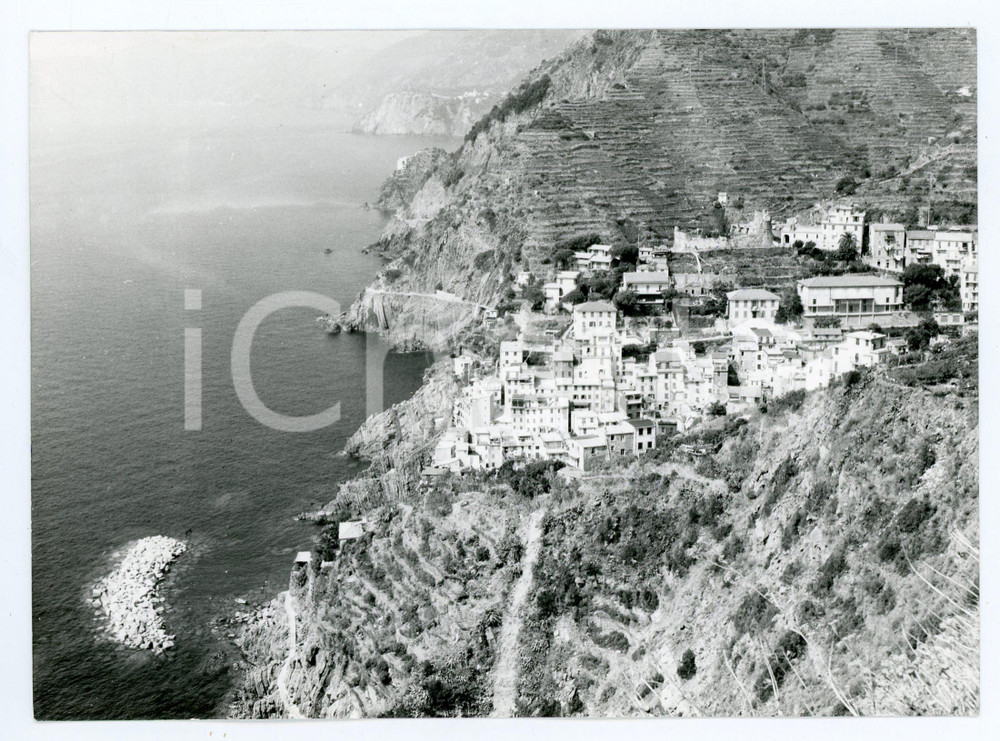 Fotografia d epoca originale 1981 CINQUE TERRE Panorama di RIOMAGGIORE Foto 17x13 cm 2 1