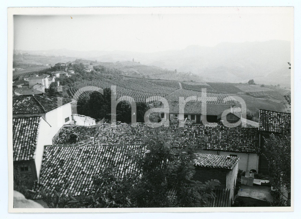 Fotografia d epoca originale 1974 SERRALUNGA D ALBA CN Panorama con vitigni  Foto 17x13 cm 1