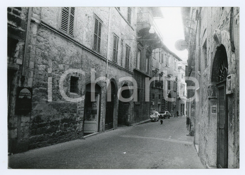 Fotografia d epoca originale 1980 ASCOLI PICENO Cane solitario in Via Pretoriana  Foto 17x13 cm 1