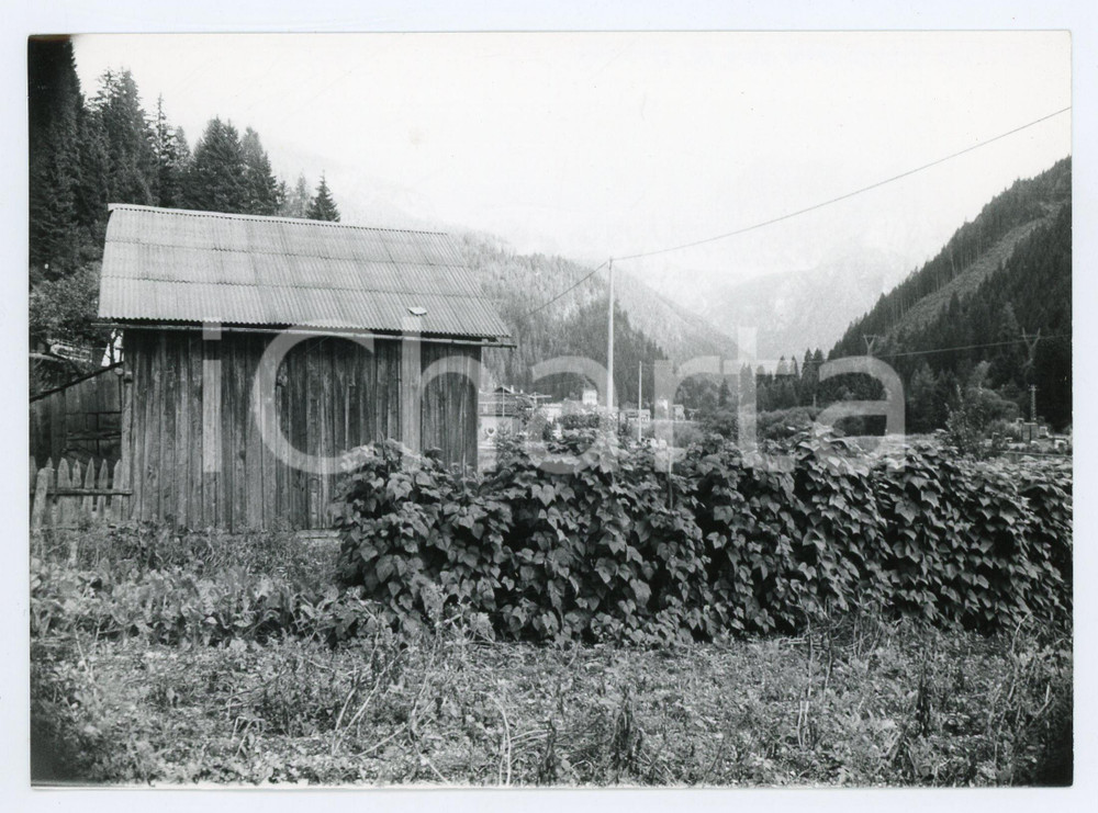 Fotografia d epoca originale 1982 CAPRILE BL Panorama del paese  Foto 17x13 cm 1