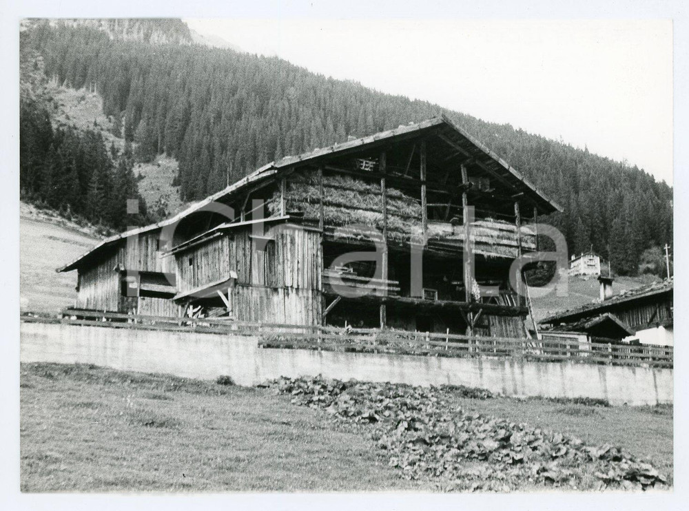 Fotografia d epoca originale 1982 PENNES  VAL SARENTINO BZ Fienile in legno  Foto 17x13 cm 1