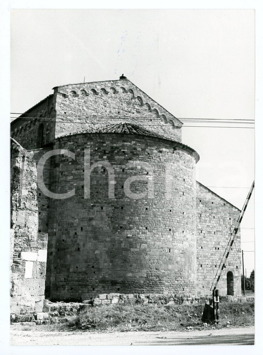 Fotografia d epoca originale 1981 PISA San Piero a Grado  Abside della Basilica San Pietro Apostolo  Foto 1