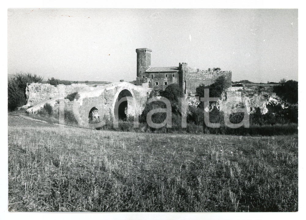 Fotografia d epoca originale 1978 CANINO  VULCI VT Castello dell Abbadia  Foto 17x13 cm 1 1