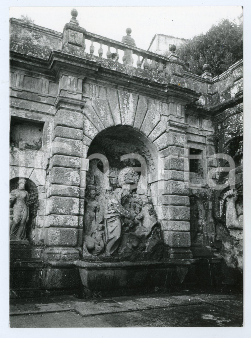Fotografia d epoca originale 1981 SORIANO NEL CIMINO Fontana Papacqua  Gruppo del MosÃ¨  Foto 13x17 cm 1