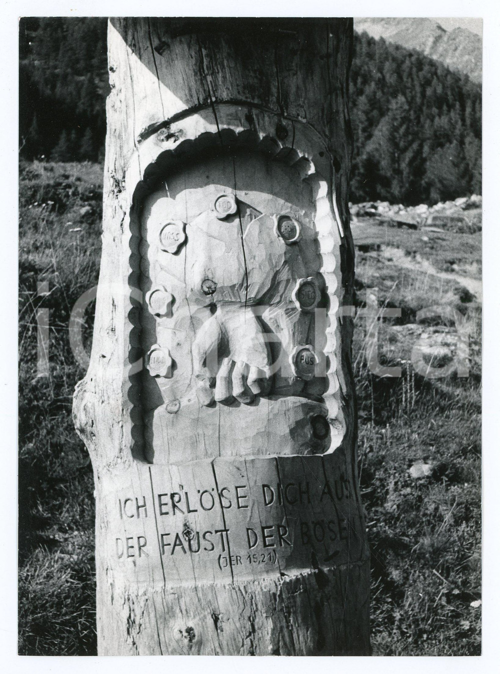 Fotografia d epoca originale 1982 PREDOI Frazione PRATOMAGNO Tronco scolpito  Foto 17x13 cm 1