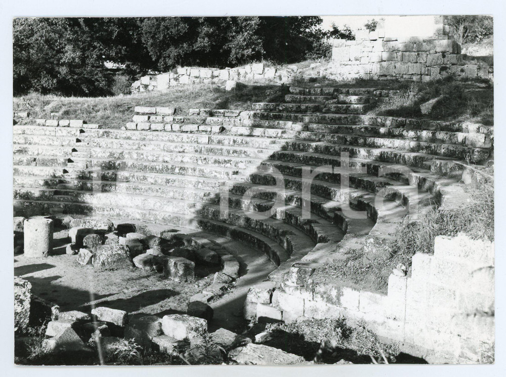 Fotografia d epoca originale 1979 MONTE PORZIO CATONE Teatro romano nel Parco archeologico di TUSCOLO  Foto 1