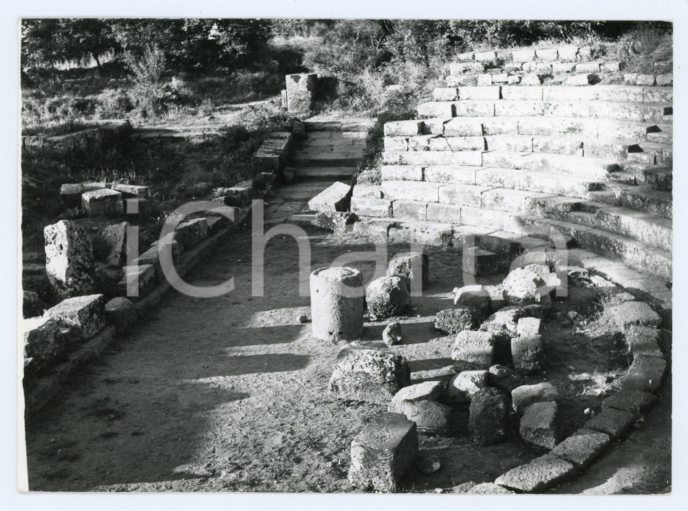 Fotografia d epoca originale 1979 MONTE PORZIO CATONE Teatro romano nel Parco archeologico di TUSCOLO Foto 1