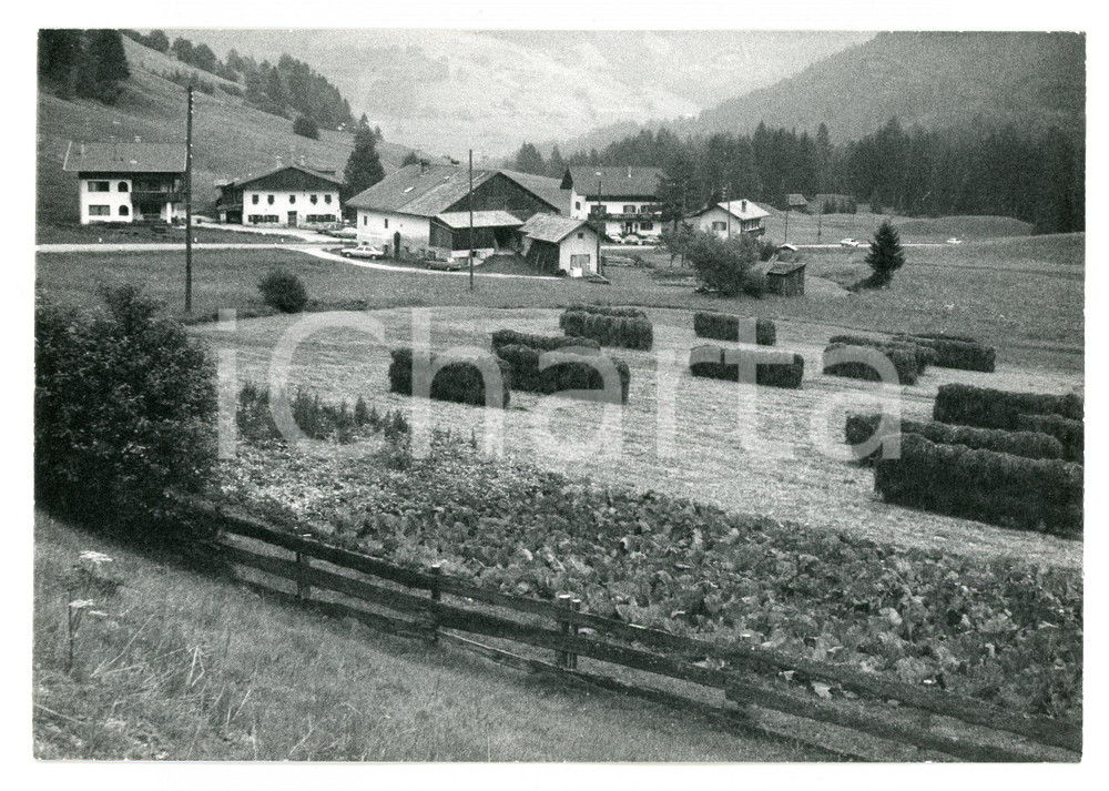 Fotografia d epoca originale 1979 SEGHERIA Fraz. BRAIES DI FUORI Panorama con ballette di paglia  Foto 17x13 1