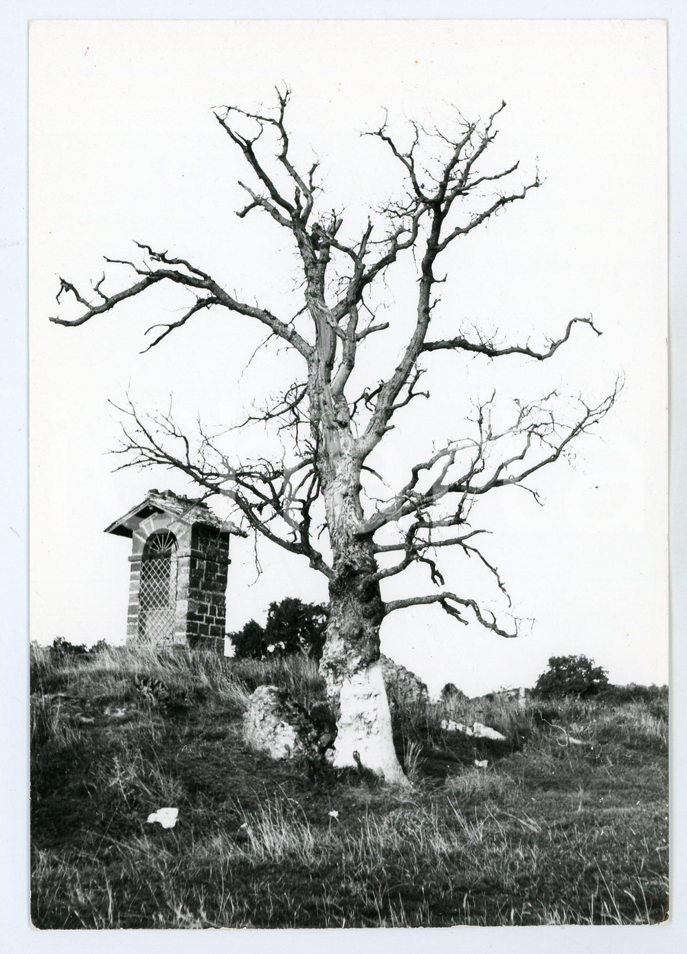 Fotografia d epoca originale 1979 MONTE PORZIO CATONE Parco archeologico di TUSCOLO Panorama  Foto 13x17 cm 1