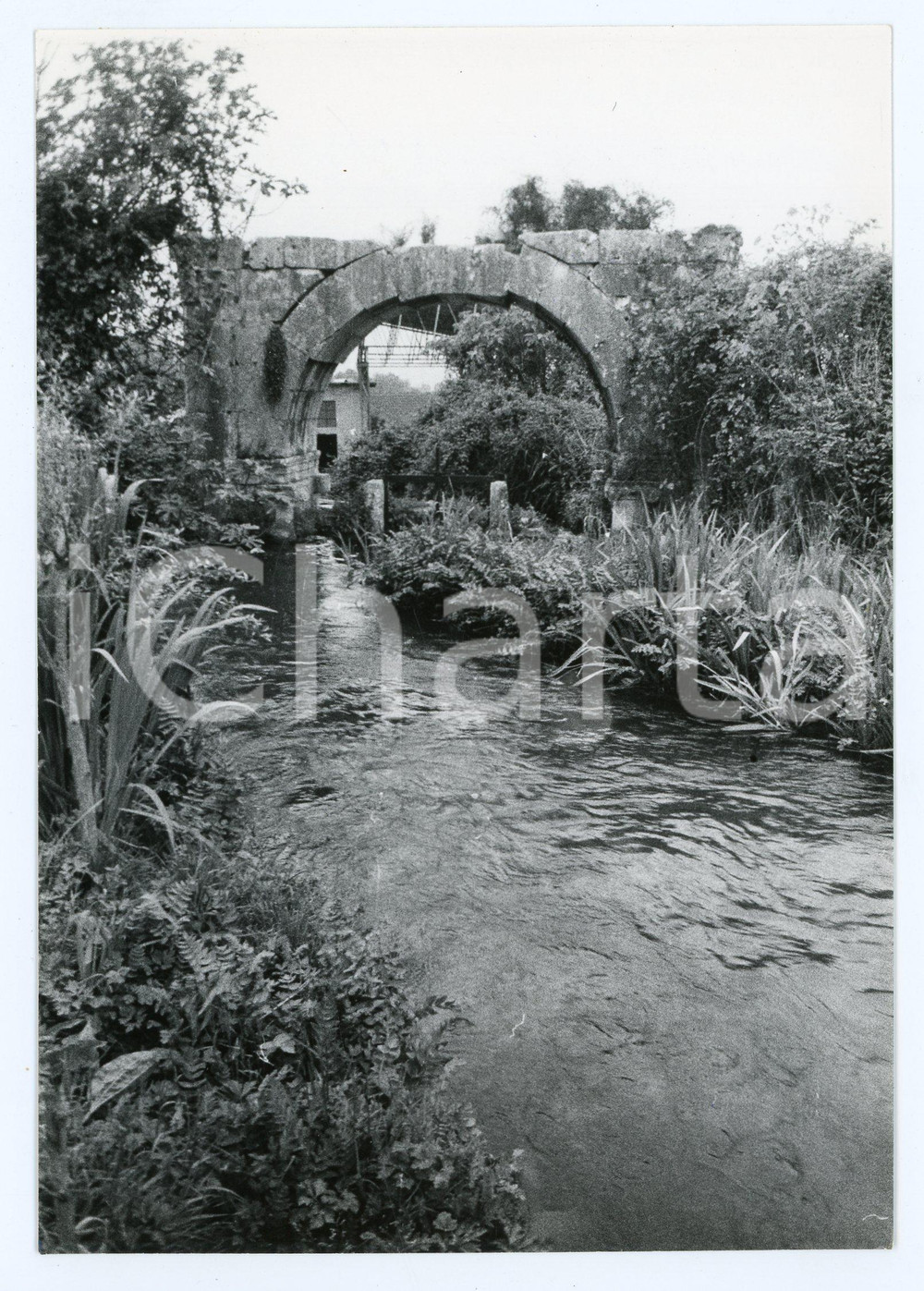 Fotografia d epoca originale 1980 AQUINO FR Arco di Marcantonio  Foto 13x17 cm 1