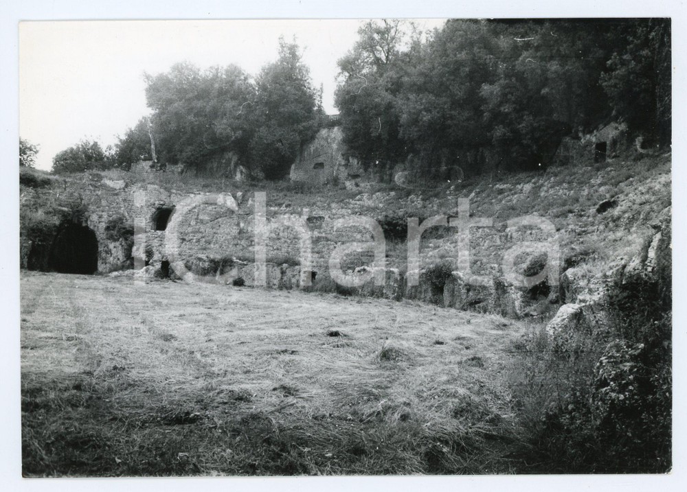 1976 SUTRI (VT) Anfiteatro romano - Foto 17x13 cm (1) Fotografia d'epoca con didascalia al verso.  POOR/danneggiato Lievi smussature agli angoli, difetti di stampa Formato: 17x13 cm originale e autentica 1