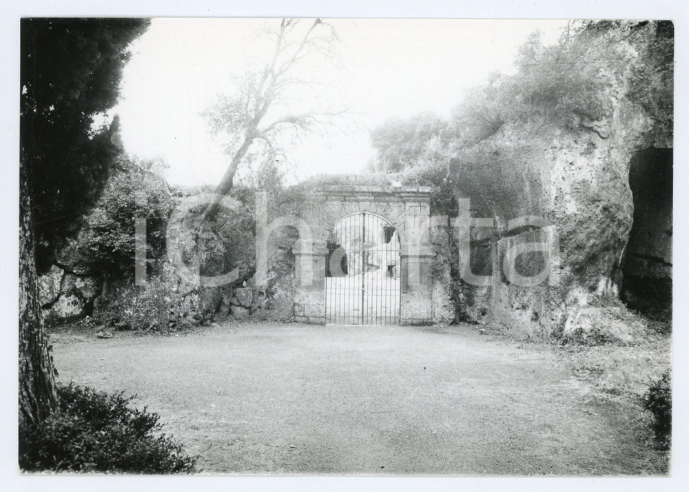 1978 SUTRI (VT) Ingresso dell'Anfiteatro romano - Foto 17x13 cm Fotografia d'epoca con didascalia al verso.  FAIR/discreto Lievi smussature agli angoli, lievi difetti di stampa Formato: 17x13 cm originale e autentica 1