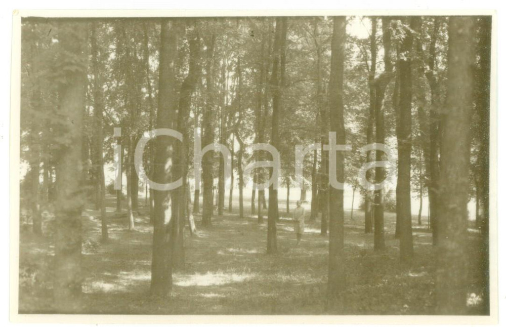 Fotografia d epoca originale Giugno 1930 SALICE TERME Ritratto di donna al parco  Foto cartolina VINTAGE 1