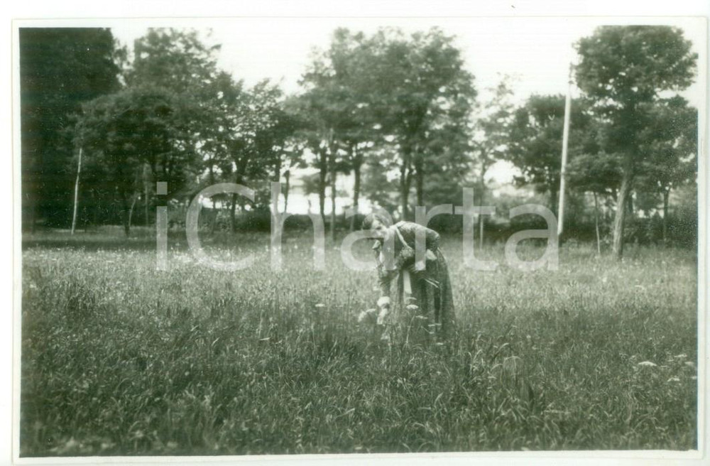 Fotografia d epoca originale Luglio 1930 SALICE TERME Ritratto di donna tra i fiori Foto cartolina vintage 1