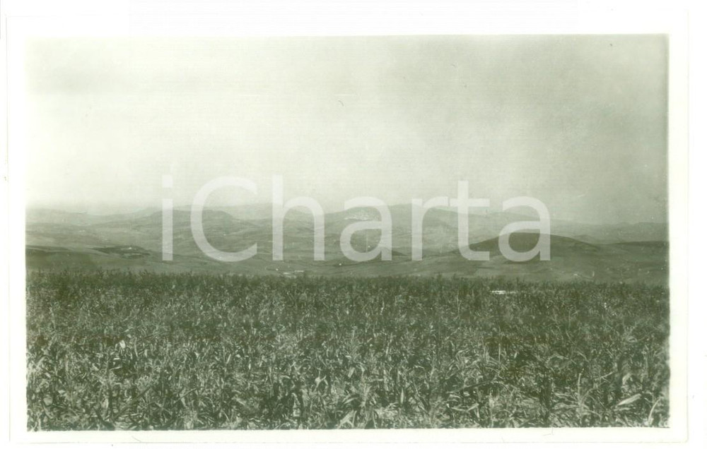 Fotografia d epoca originale Agosto 1930 ANZANO DEGLI IRPINI Puglia  Veduta della vallata  Foto cartolina 1
