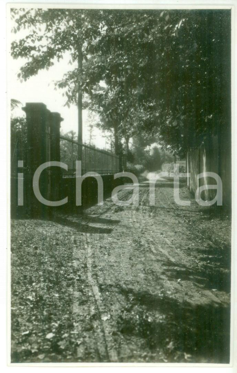 Fotografia d epoca originale Maggio 1931 NOVI LIGURE Sentiero campestre Foto cartolina VINTAGE 1