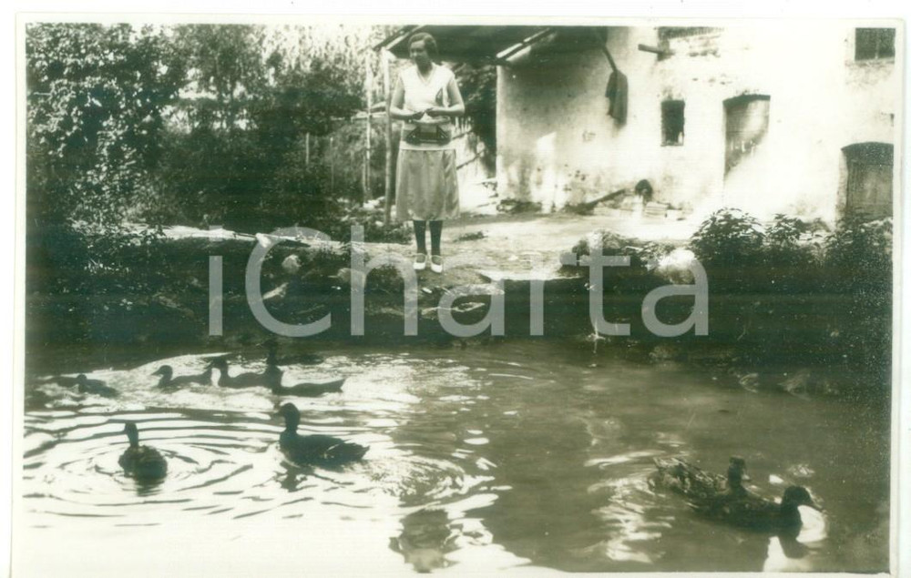 Fotografia d epoca originale 1931 PASTURANA AL Giovane donna sulle sponde di un laghetto  Foto cartolina 1