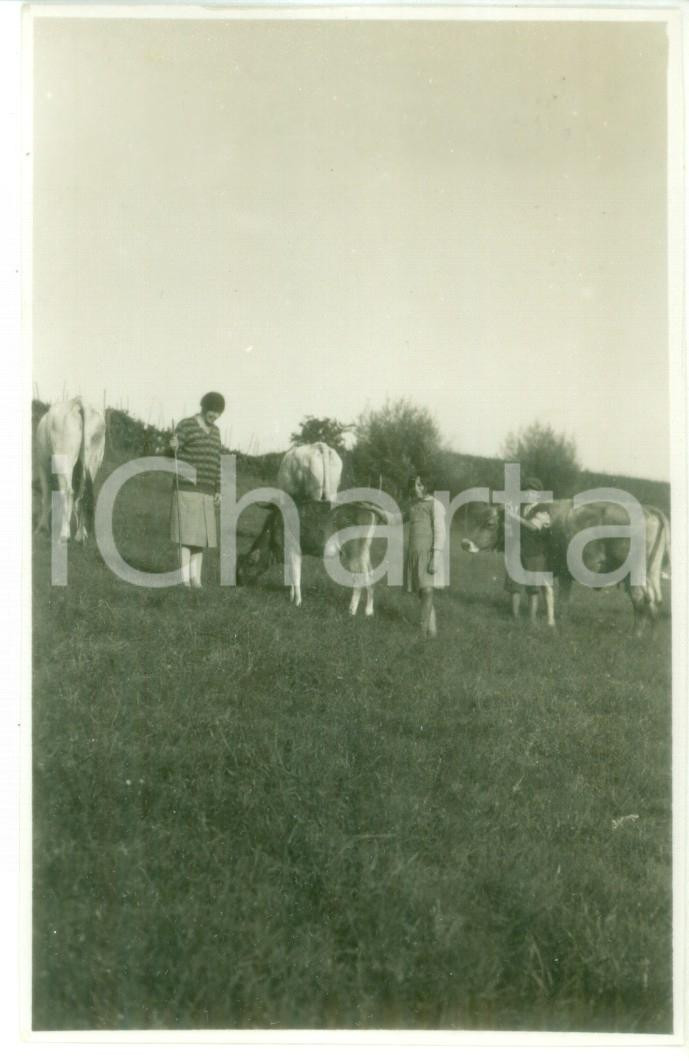 Fotografia d epoca originale 1929 NOVI LIGURE Bambini sorvegliano le vacche al pascolo  Foto cartolina 1