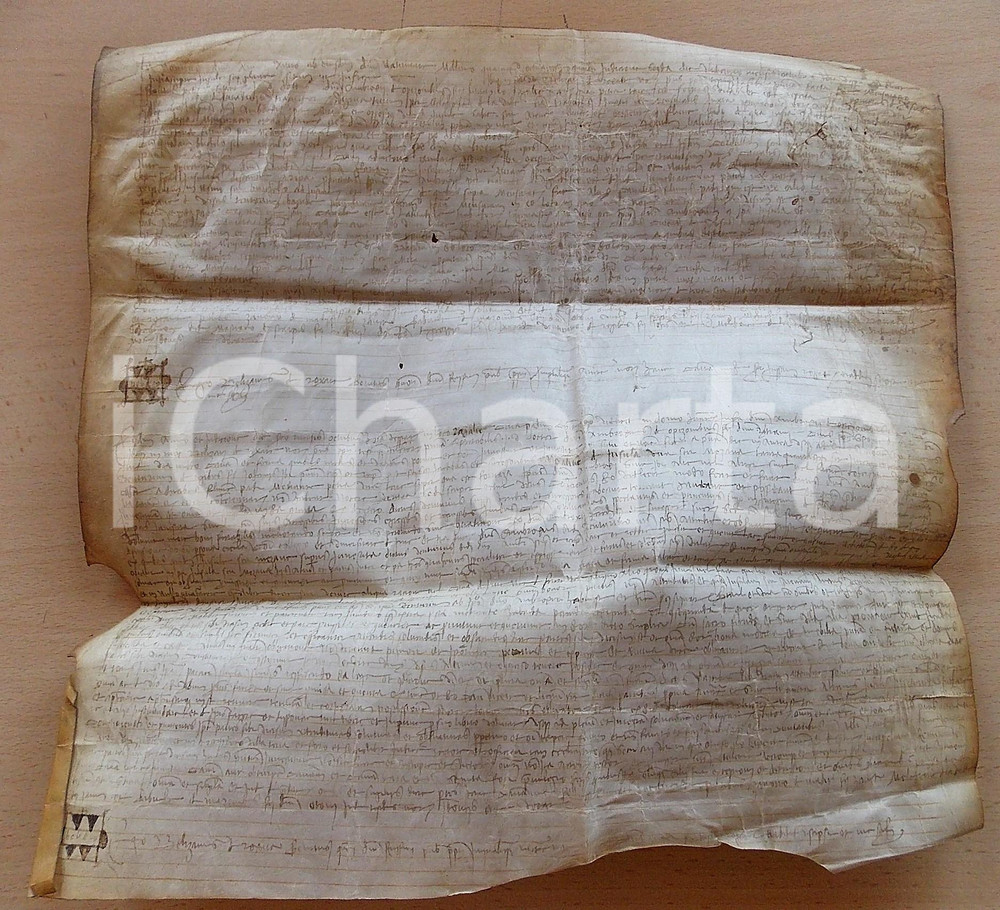 Documento originale, autentico 1484 PAVIA Attestazione nobiltà antichità famiglia OPPIZZONI Pergamena 37x37 1