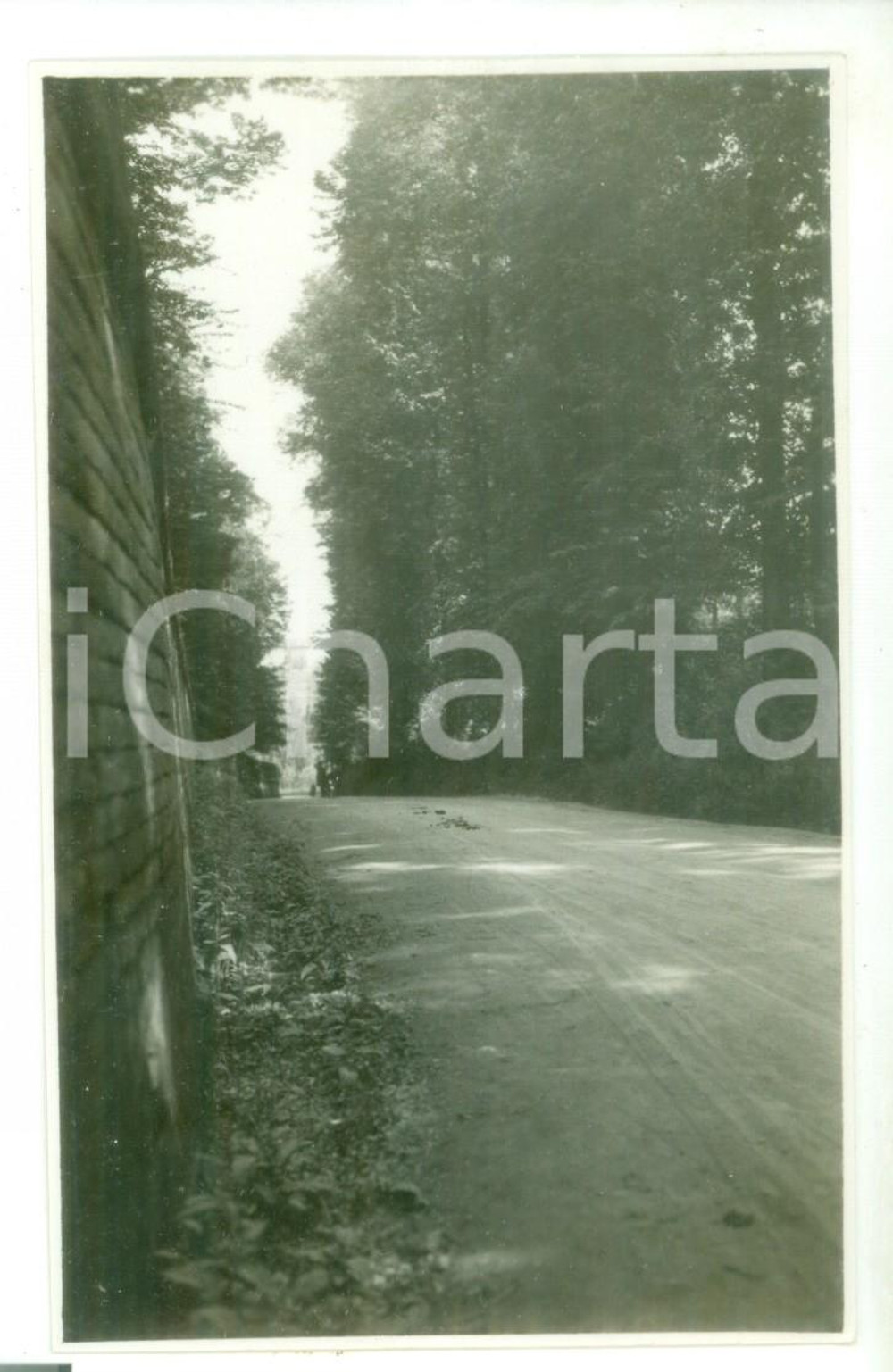 Fotografia d epoca originale Maggio 1931 NOVI LIGURE Veduta di una strada campestre  Foto cartolina VINTAGE 1