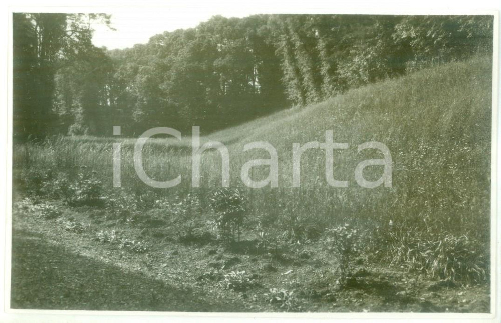 Fotografia d epoca originale 1931 NOVI LIGURE Veduta di un paesaggio agreste Foto cartolina VINTAGE 1