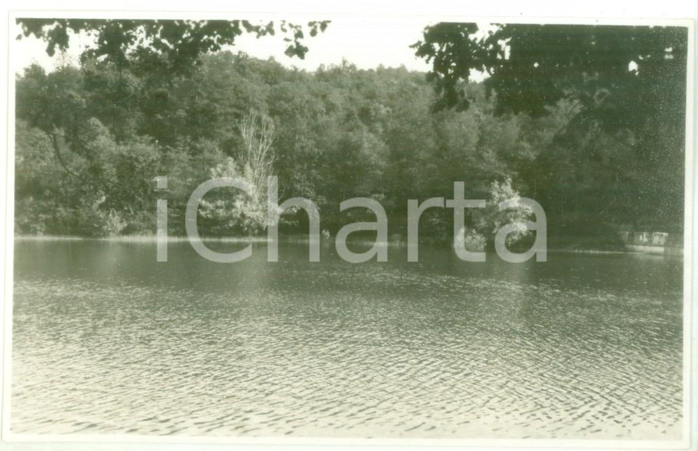 Fotografia d epoca originale 1930 LAGO DI LOMELLINA Veduta panoramica  Foto cartolina VINTAGE 1
