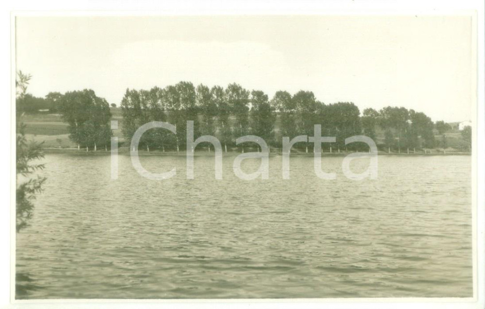Fotografia d epoca originale 1931 LAGO DI LOMELLINA Veduta di una sponda alberata Foto cartolina VINTAGE 1