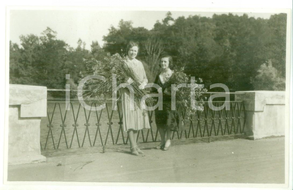 Fotografia d epoca originale 1931 NOVI LIGURE Lago di Lomellina  Raccolta delle ginestre  Foto cartolina 1