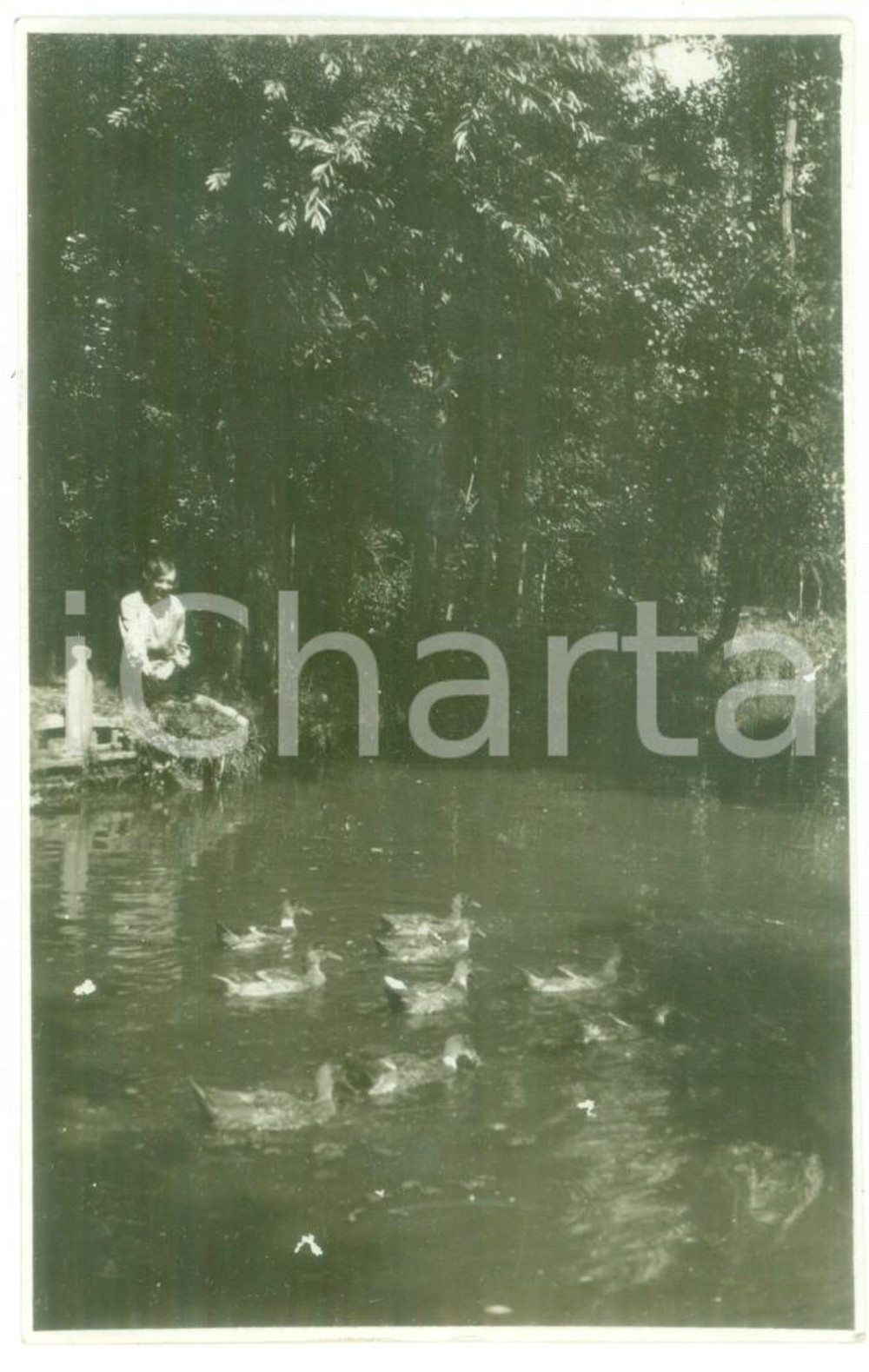 Fotografia d epoca originale 1929 CASTELLETTO D ORBA Veduta del torrente Foto cartolina VINTAGE 13x8 cm 1