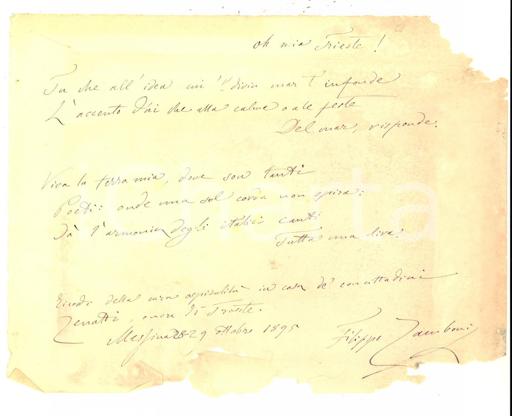 Autografo originale 1895 MESSINA Filippo ZAMBONI  Oh mia Trieste!   Poesia AUTOGRAFO DANNEGGIATO 1