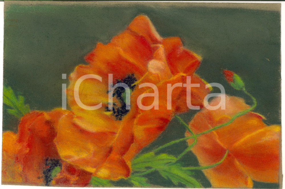 Opera d’arte autentica 1930 ca ARTE Papaveri di campo  Pastello su carta 28x18 cm 1