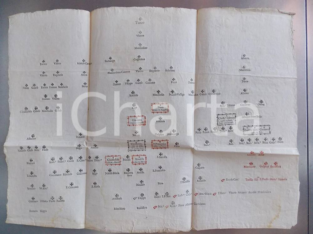 Documento originale, autentico 1700 ca AREA VENETA Albero genealogico a stampa  BICOLORE RARO 55x43 cm 1